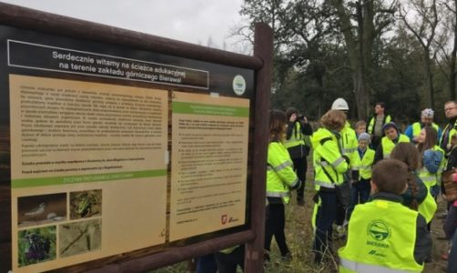 Ekolekcje w kopalni przywróconej naturze