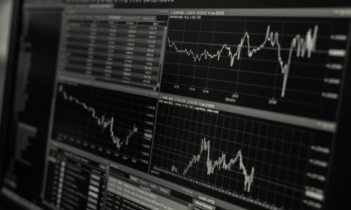 Niewielu studentów poznaje Bloomberga