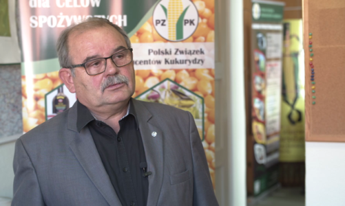 Kukurydza znalazła zastosowanie w przemyśle samochodowym czy produkcji bioplastiku. Większe uprawy zboża mogą być szansą dla polskich rolników