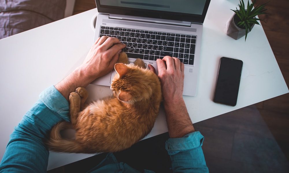 Praca_zdalna Zdjęcia z pracy zdalnej mogą zdradzić hasło do banku